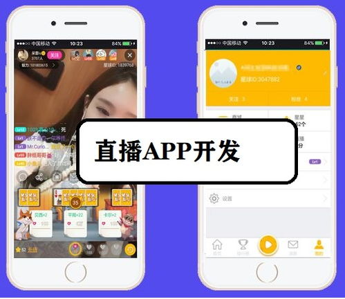 1v1直播app系统开发定制